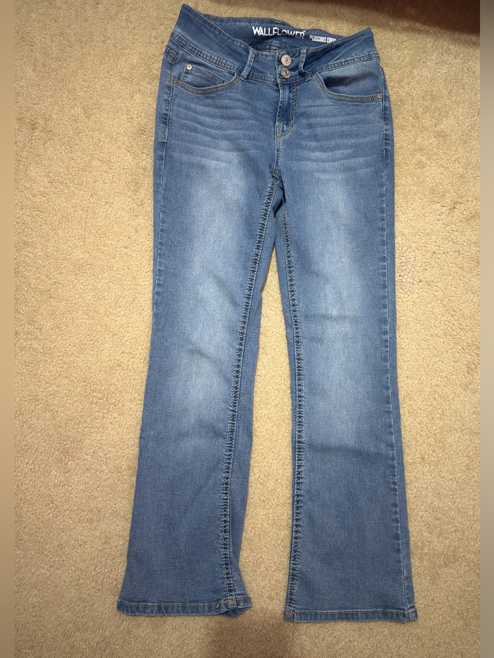 Size 5 Short Wallflower Lucious Curvy Jeans